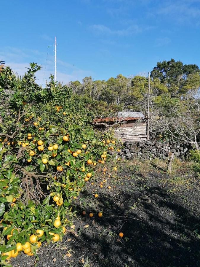Rosa Do Canto Monte  Exterior foto